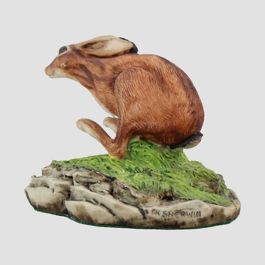 Running Hare Model