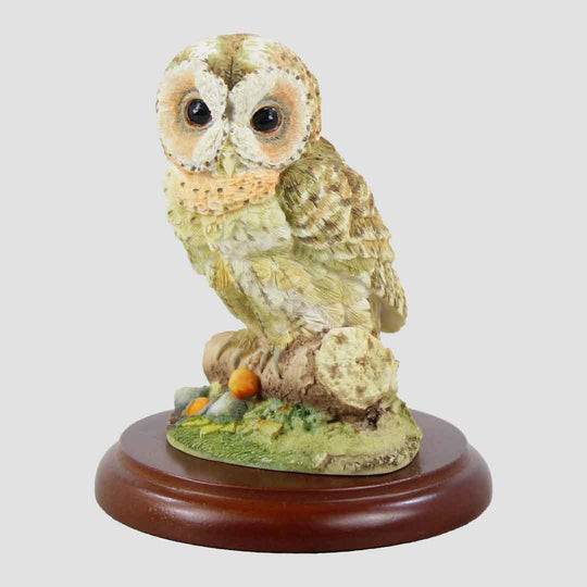 Tawny Owl Perched On Branch Border Fine Arts