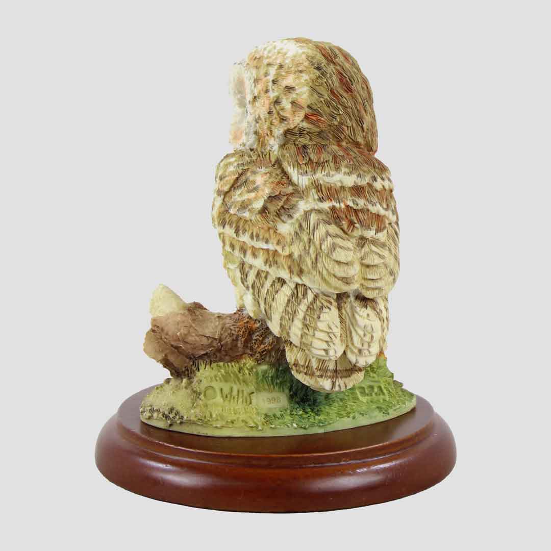 Tawny Owl Perched On Branch Border Fine Arts