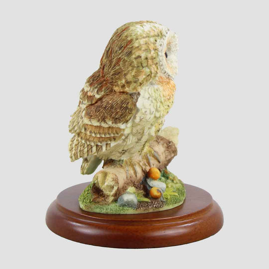 Tawny Owl Perched On Branch Border Fine Arts