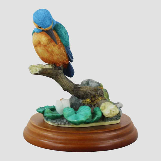 Kingfisher On Branch With Lili Pad Border Fine Arts