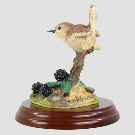 Wren And Brambles Border Fine Arts Birds