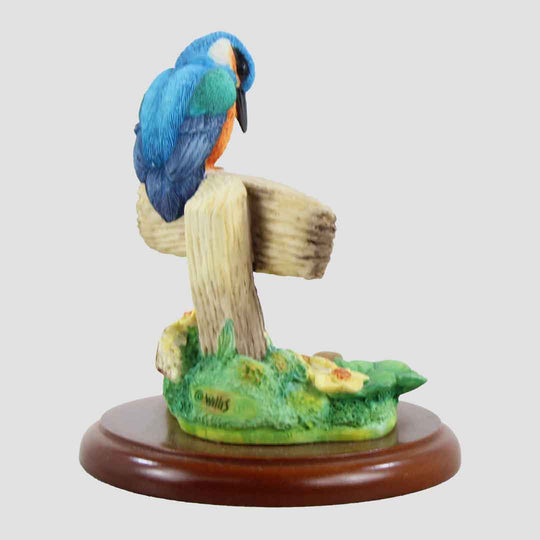 Kingfisher On No Fishing Sign Border Fine Arts