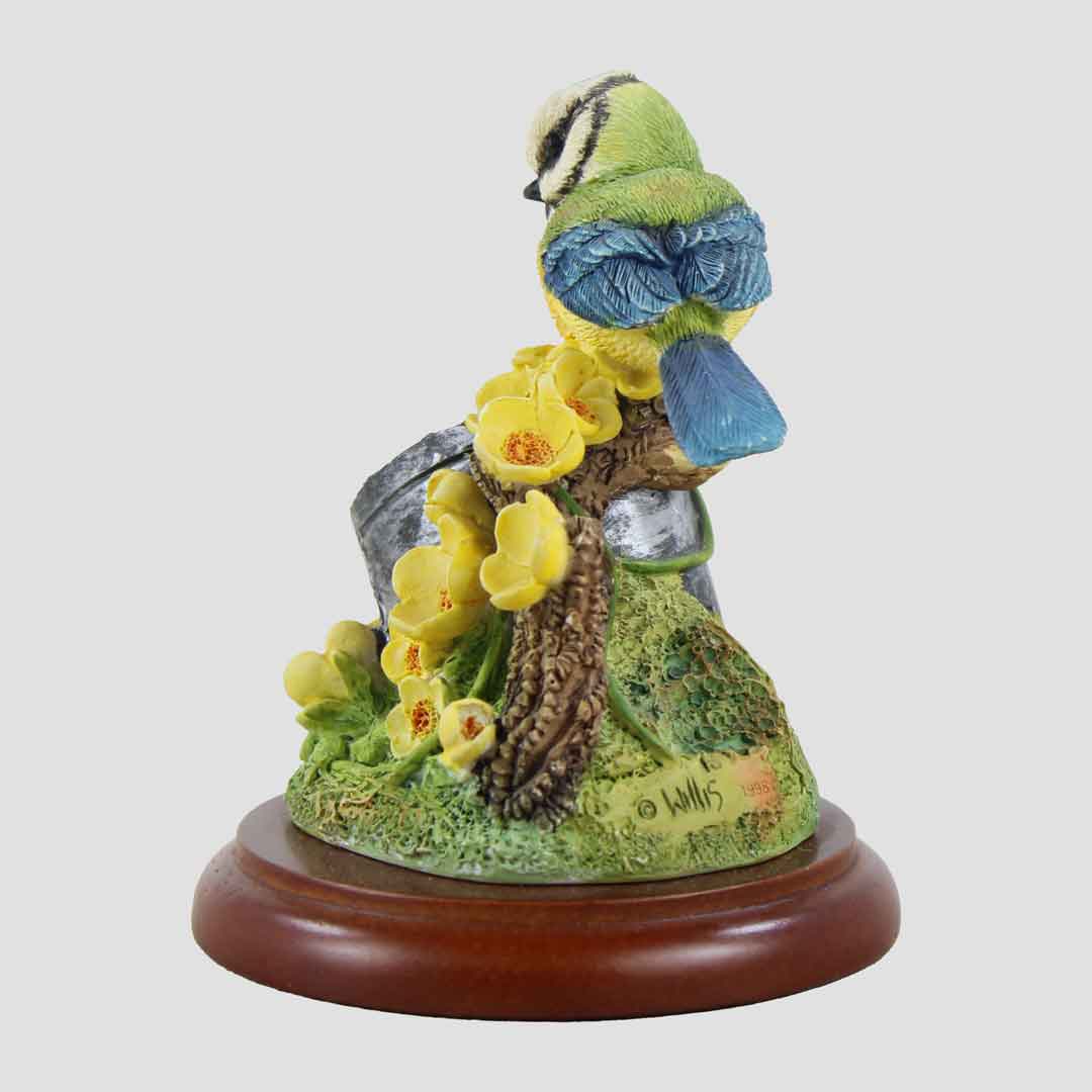 Blue Tit With Nest Border Fine Arts