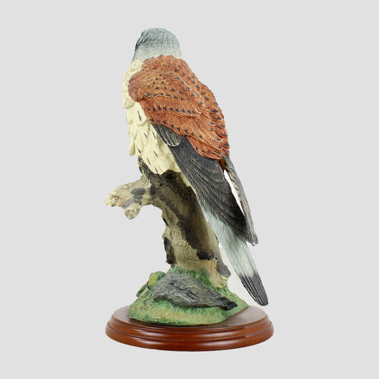 Kestrel By Russell Willis Border Fine Arts Birds