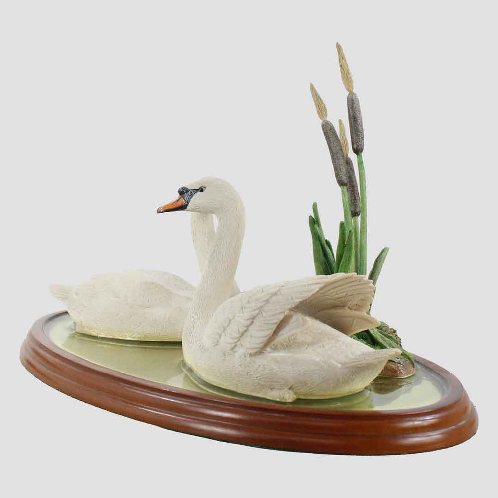 Mute Swans - Reflections Border Fine Arts