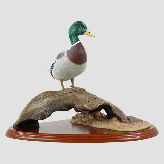 Mallard By Don Briddell Border Fine Arts Duck