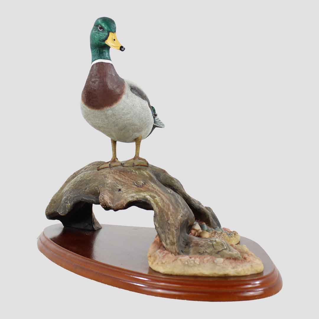 Mallard By Don Briddell Border Fine Arts Duck