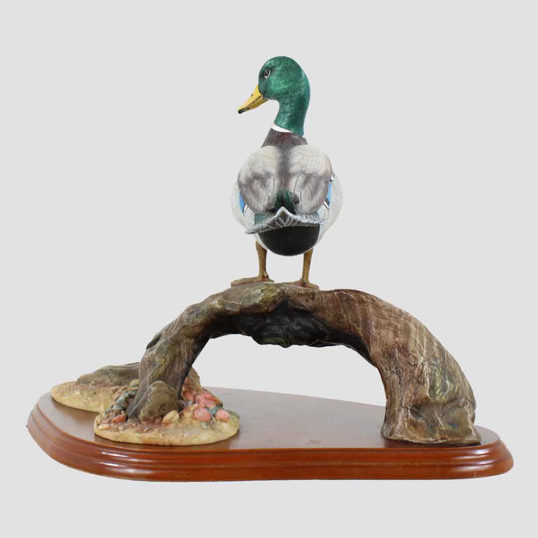 Mallard By Don Briddell Border Fine Arts Duck