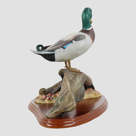 Mallard By Don Briddell Border Fine Arts Duck