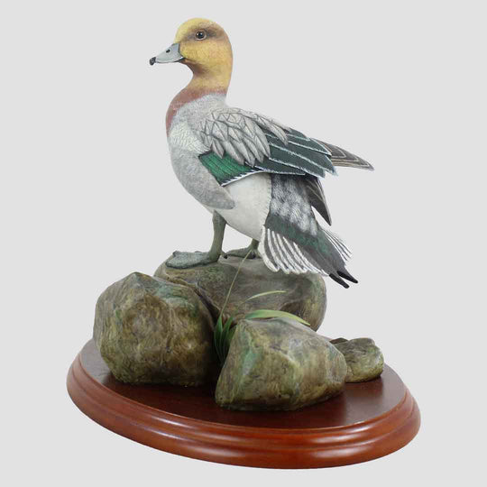 Widgeon Border Fine Arts Duck