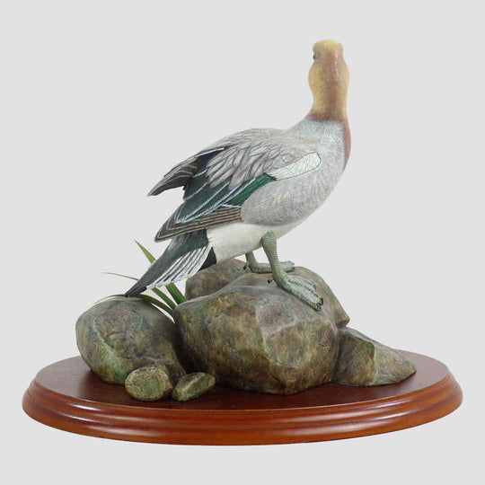 Widgeon Border Fine Arts Duck