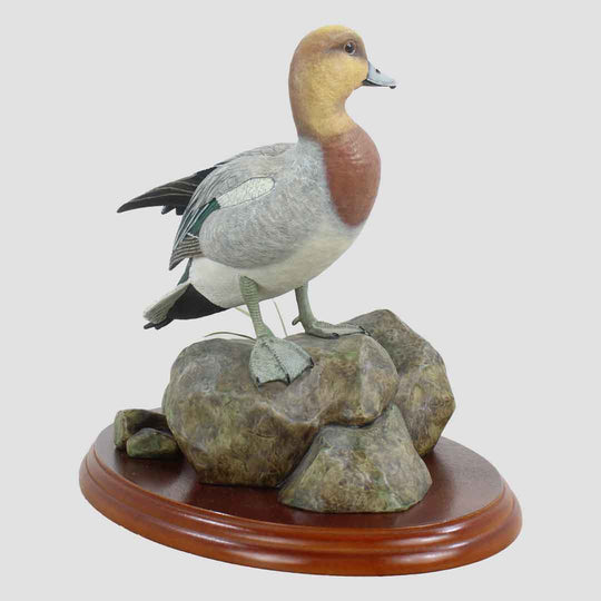 Widgeon Border Fine Arts Duck