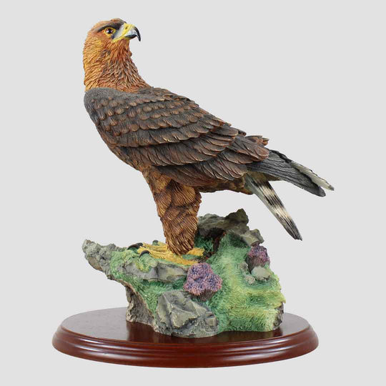 Golden Eagle Border Fine Arts Birds