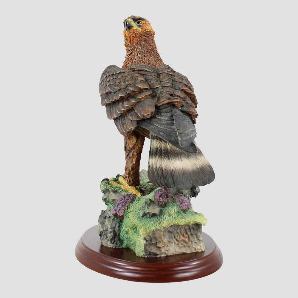 Golden Eagle Border Fine Arts Birds