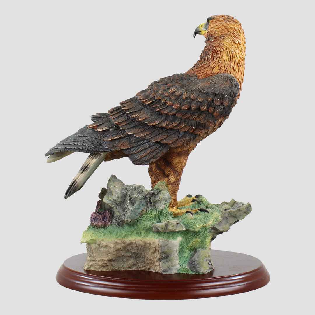 Golden Eagle Border Fine Arts Birds