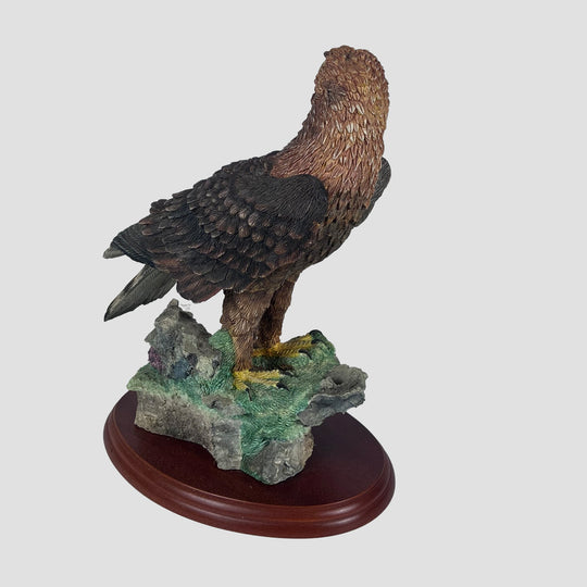 Golden Eagle Border Fine Arts Bird Model
