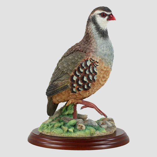 Partridge Border Fine Arts Bird