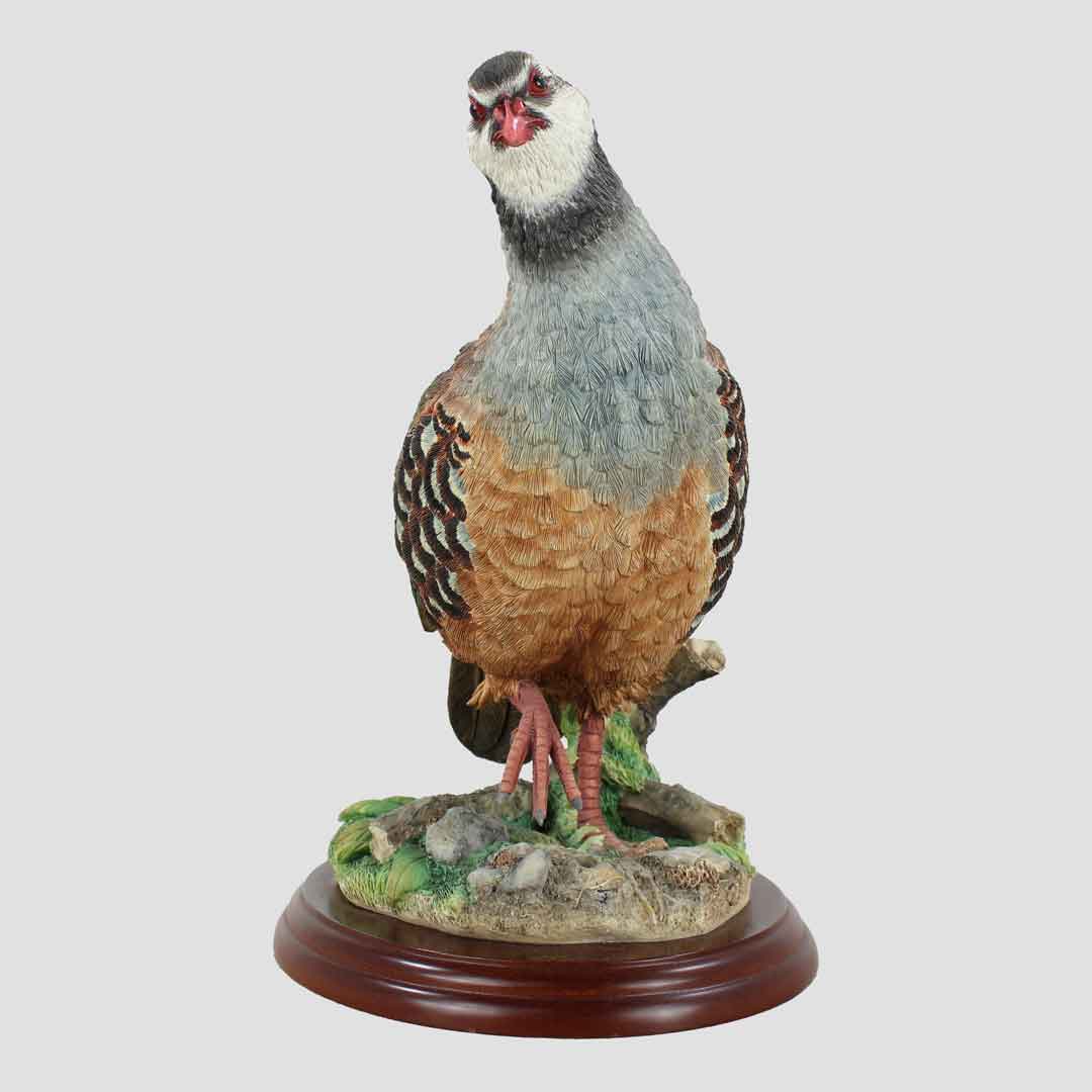 Partridge Border Fine Arts Bird