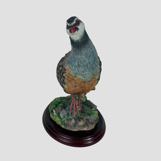 Partridge Border Fine Arts Game Bird Model