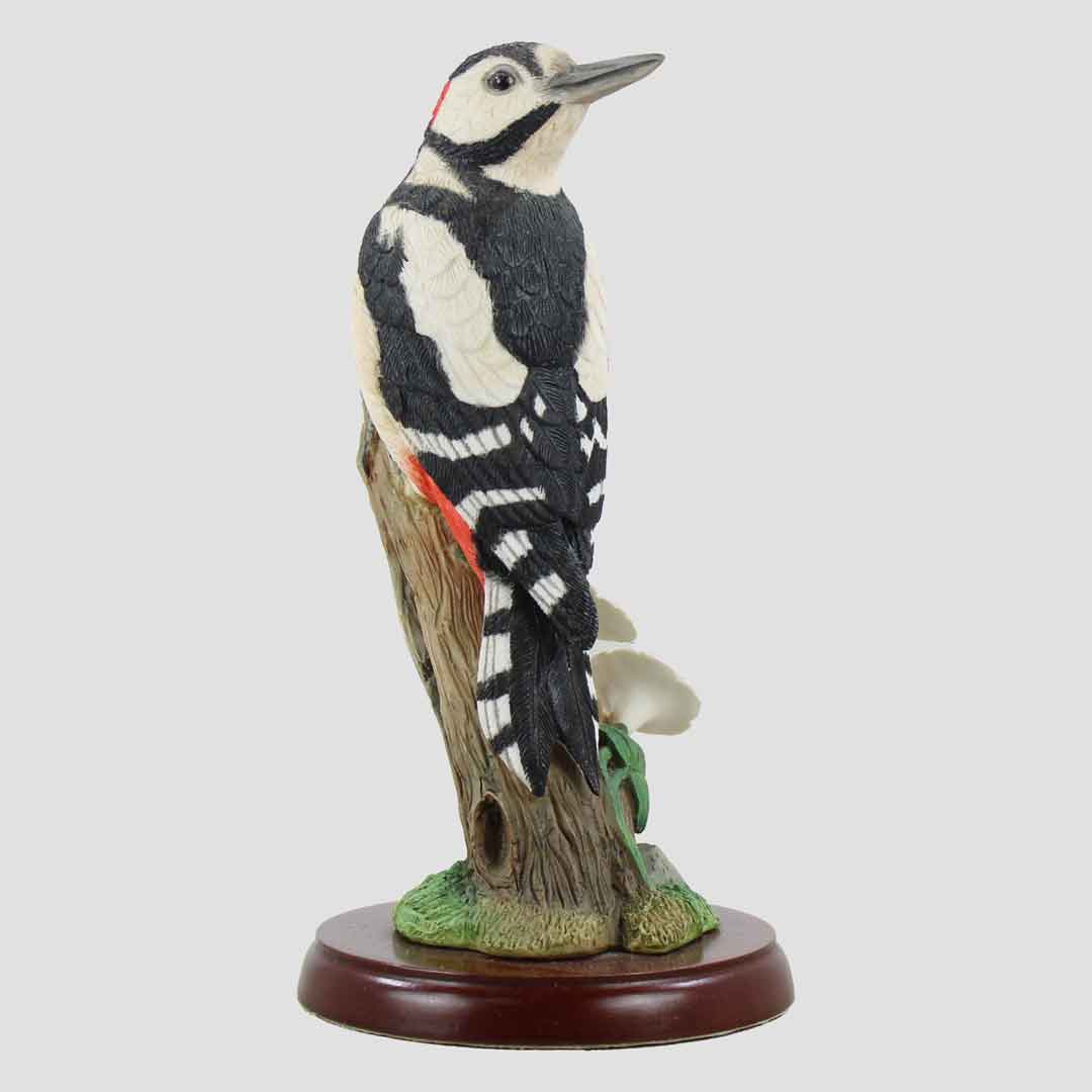 Wood Pecker Border Fine Arts Bird