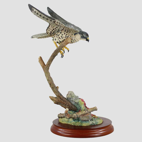 Flying Peregrine Border Fine Arts Bird