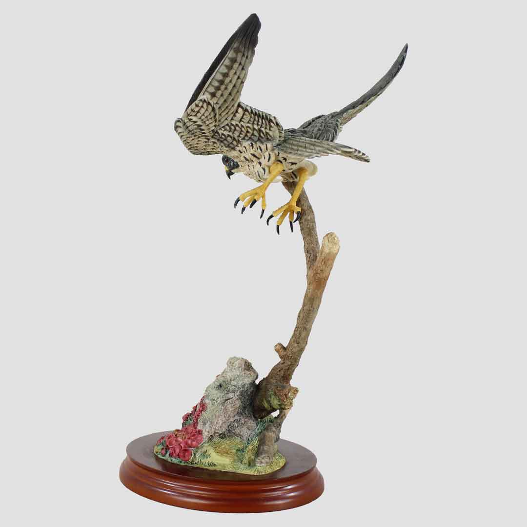 Flying Peregrine Border Fine Arts Bird