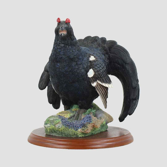 Blackcock Border Fine Arts Bird