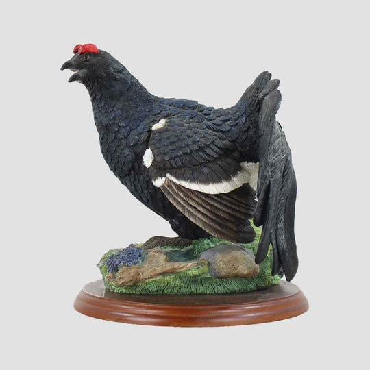 Blackcock Border Fine Arts Bird