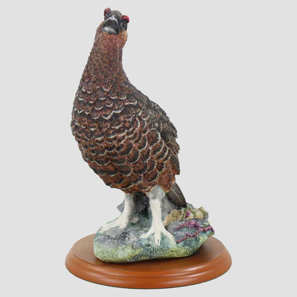 Red Grouse Border Fine Arts Bird