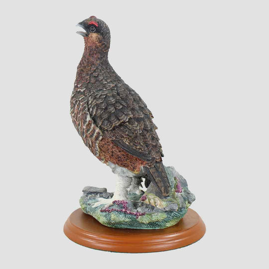 Red Grouse Border Fine Arts Bird