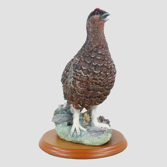 Red Grouse Border Fine Arts Bird