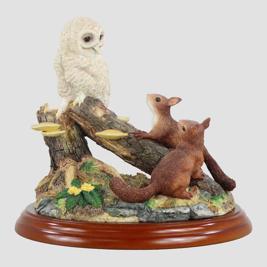 Curiosity Border Fine Arts Owlet And Squirrels