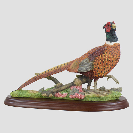 Pheasant Walking Border Fine Arts Studio Model