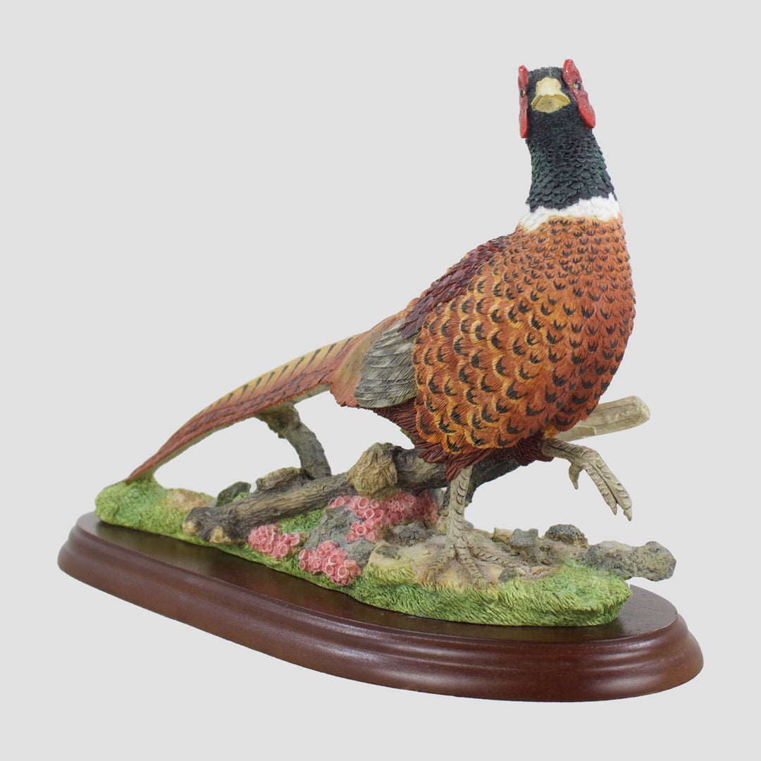 Pheasant Walking Border Fine Arts Studio Model