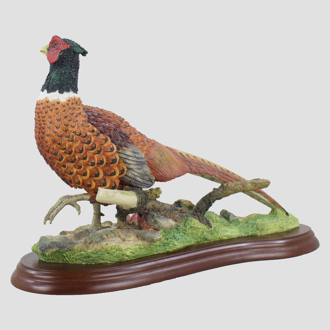 Pheasant Walking Border Fine Arts Studio Model