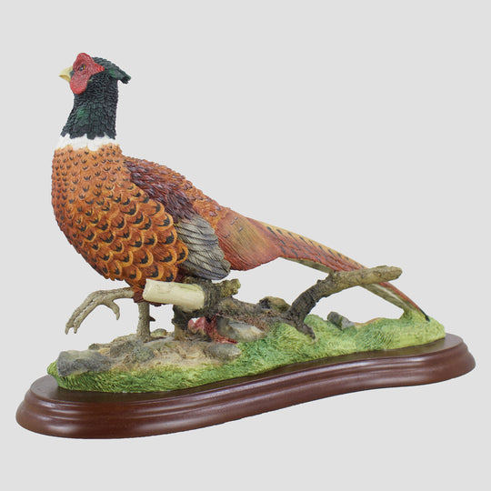 Pheasant Walking Border Fine Arts Studio Model