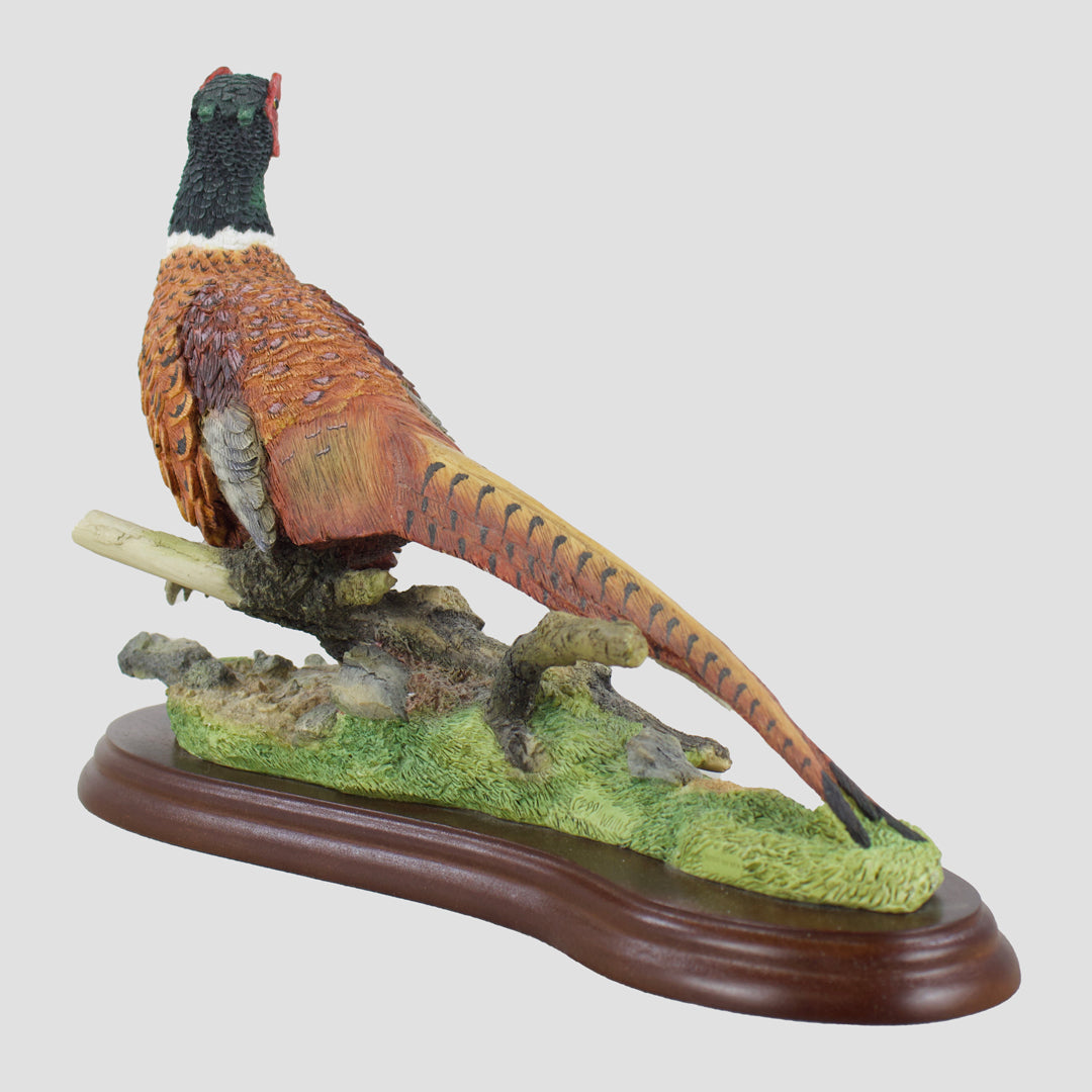 Pheasant Walking Border Fine Arts Studio Model