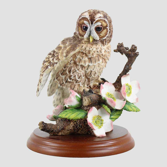 Tawny Owl With Flowers Border Fine Arts