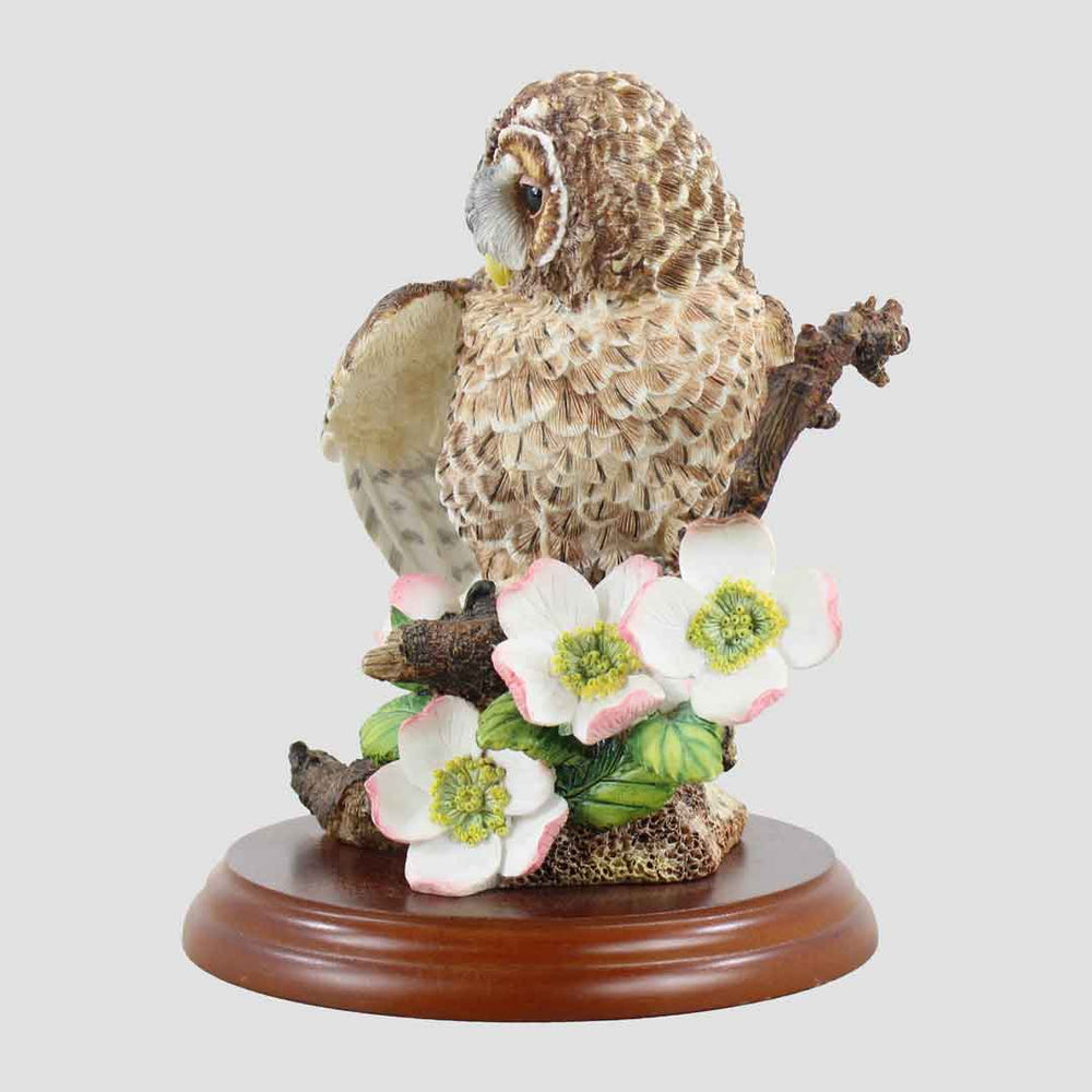 Tawny Owl With Flowers Border Fine Arts