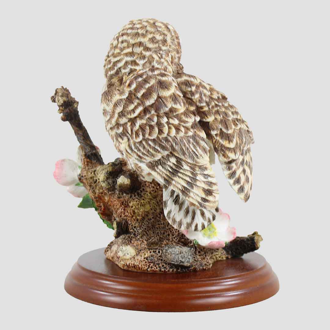 Tawny Owl With Flowers Border Fine Arts