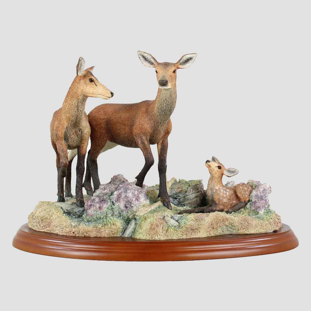 Red Hind, Follower And Calf Border Fine Arts Deer