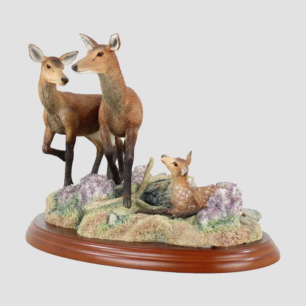 Red Hind, Follower And Calf Border Fine Arts Deer