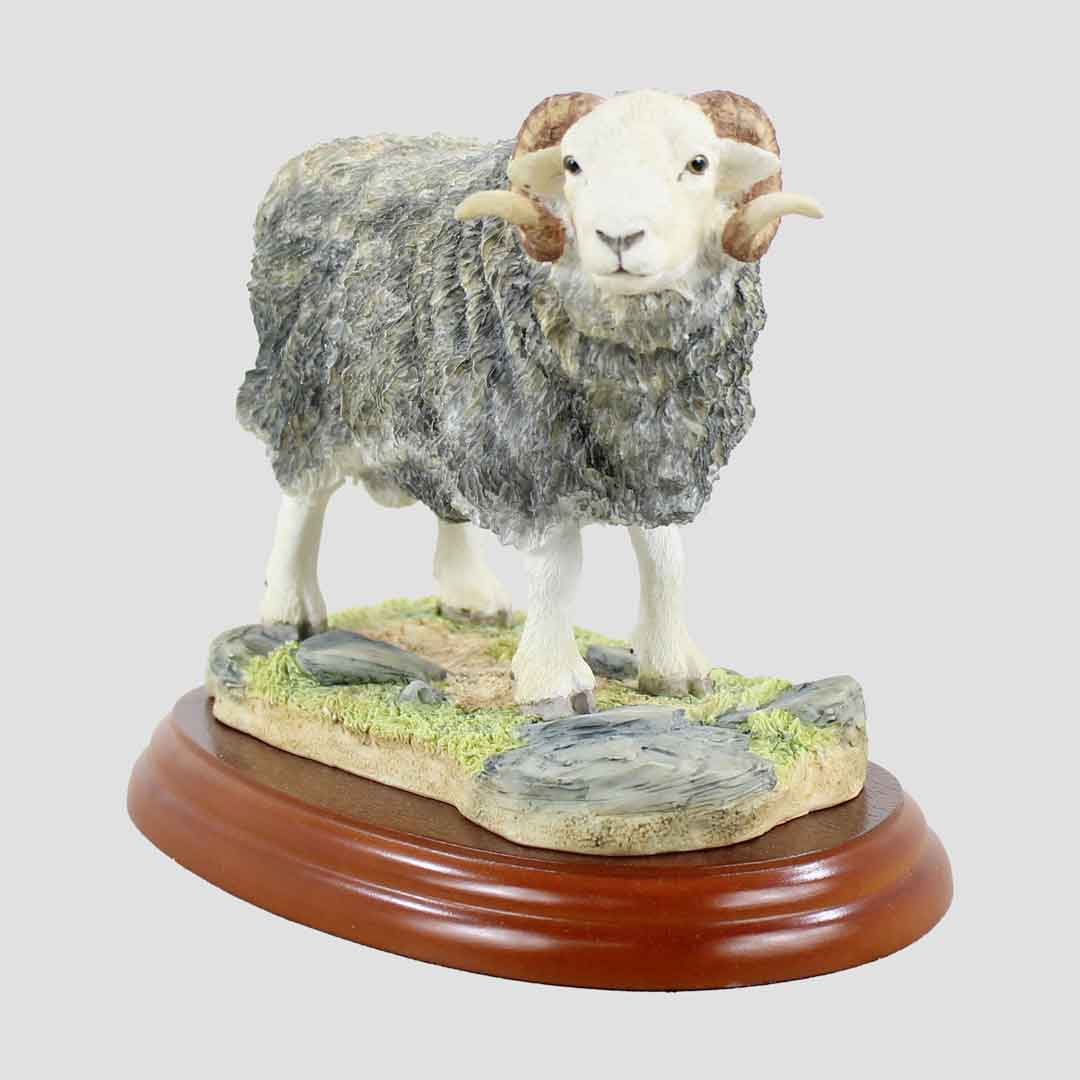 Herdwick Ram Border Fine Arts