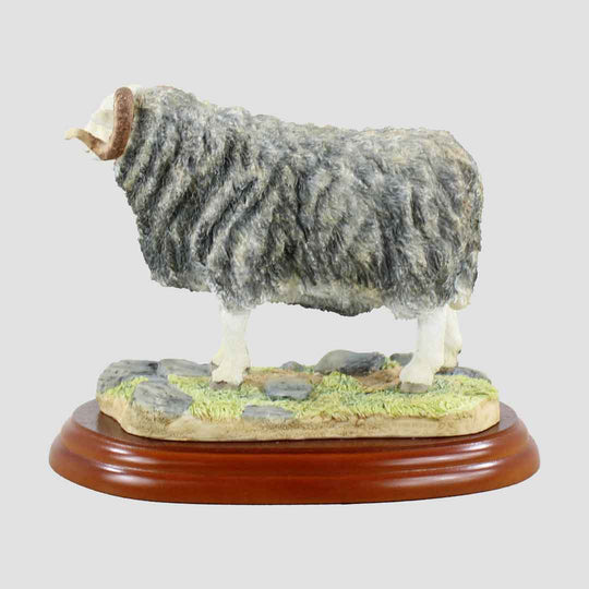 Herdwick Ram Border Fine Arts