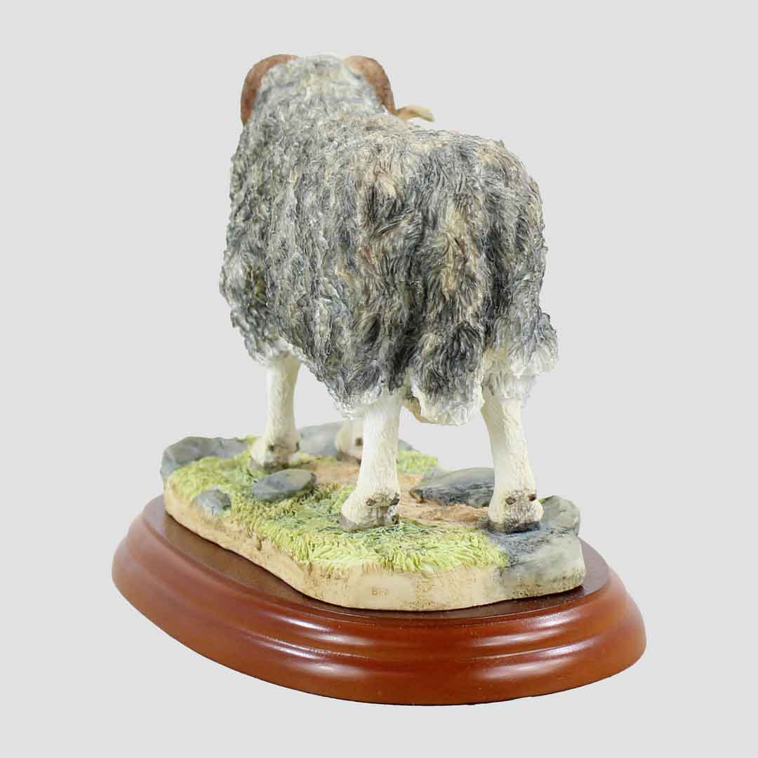 Herdwick Ram Border Fine Arts