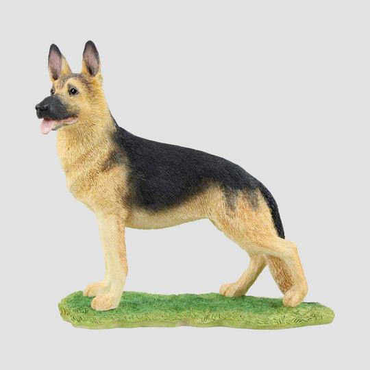 German Shepherd Border Fine Arts Dog