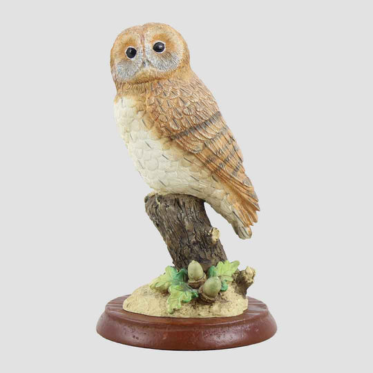 Tawny Owl With Acorns Border Fine Arts