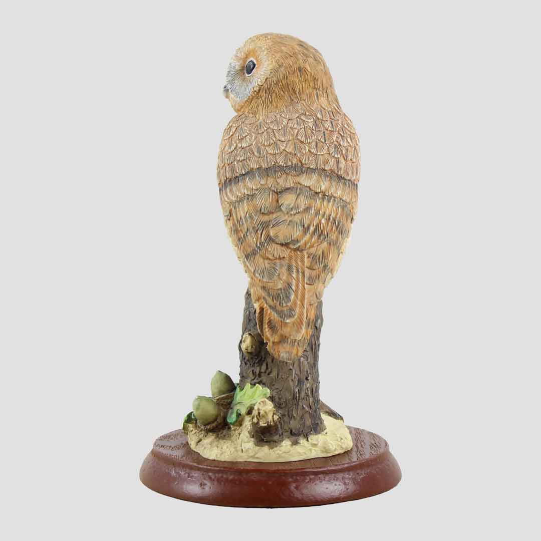 Tawny Owl With Acorns Border Fine Arts