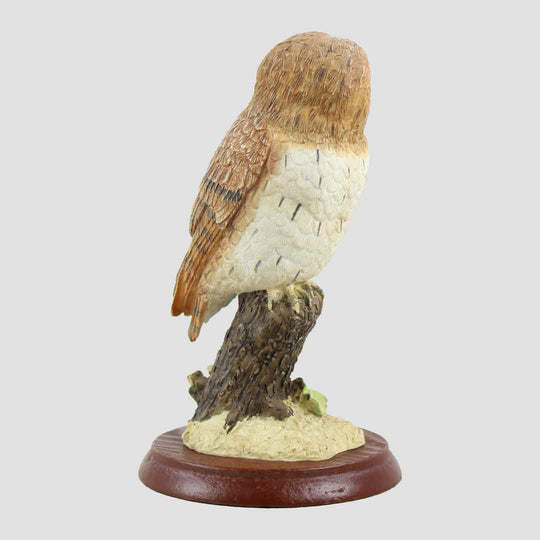 Tawny Owl With Acorns Border Fine Arts